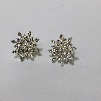 Earrings Star Diamonds Silver