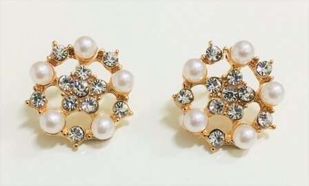 Golden Crystal Earrings White