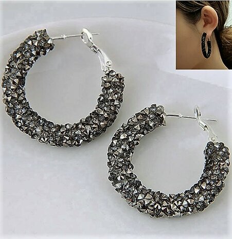 Earrings Decorated Silver