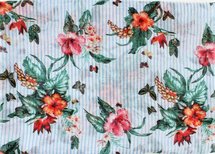 A Soft Striped Bloom Shawl
