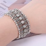 Silver Charm
