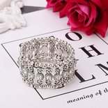 Silver Charm