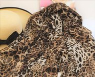 Elegant Leopard