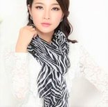Zebra Elegance