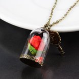 Valentine Rose