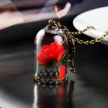 Valentine Rose