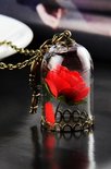 Valentine Rose