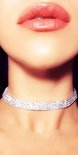 Shiny Elegance